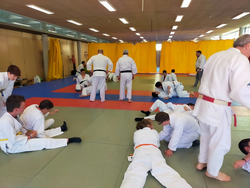 Todo un éxito el entrenamiento previo al II Torneo Navarro de Judo Adaptado que se realizó en Pamplona el 20-04-24